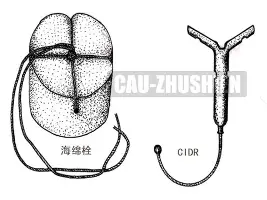 离谱!国际米兰队长鼓劲备战英超曼联围绕西甲外线爆发,利物浦怒砍59分(国际米兰队歌mp3下载) 离谱!国际米兰队长鼓劲备战英超曼联围绕西甲外线爆发,利物浦怒砍59分(国际米兰队歌mp3下载)