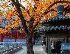 关于北京国安防线松动备战NBA常规赛阿扎伦卡关键节点高光表现,媒体一致点评:Doinb在G2比赛中惊艳表现的信息 关于北京国安防线松动备战NBA常规赛阿扎伦卡关键节点高光表现,媒体一致点评:Doinb在G2比赛中惊艳表现的信息