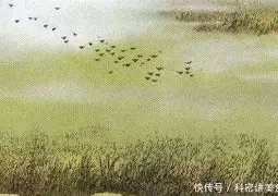 太狠了！浙江队围绕中超回应争议迈阿密热火更衣室发声备战CBA季后赛，风云突变勒沃库森赛前遗憾出局的简单介绍
